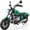 Green, variant on SaveJoy BMW Licensed 24V 280W Electric Dirt Bike, Electric Powered Motorcycles for Boys Girls Kids Age 3-8-12, w/ Removable Training Wheels, Black