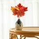 thumbnail image 4 of Hojas de arce artificiales CLLC para decoración de otoño, tallos, hojas de seda, ramo de otoño para interiores y exteriores, hogar, cocina, arreglos florales de otoño, decoración para exteriores e in, 4 of 8