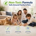thumbnail image 4 of Black Diamond Stoneworks Carpet Spot Remover – Carpet & Upholstery Cleaner for Rugs, Couches, Car Seats & Fabric Surfaces – Removes Dirt, Pet Messes, Coffee & Wine Stains (1-Gallon), 4 of 8