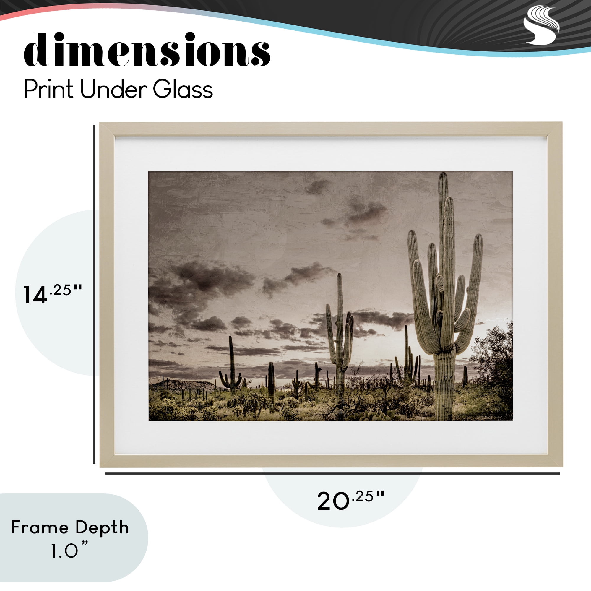 Stupell Industries Desert Sky Wilderness Birch Framed Print Under Glass, design by Kim Allen