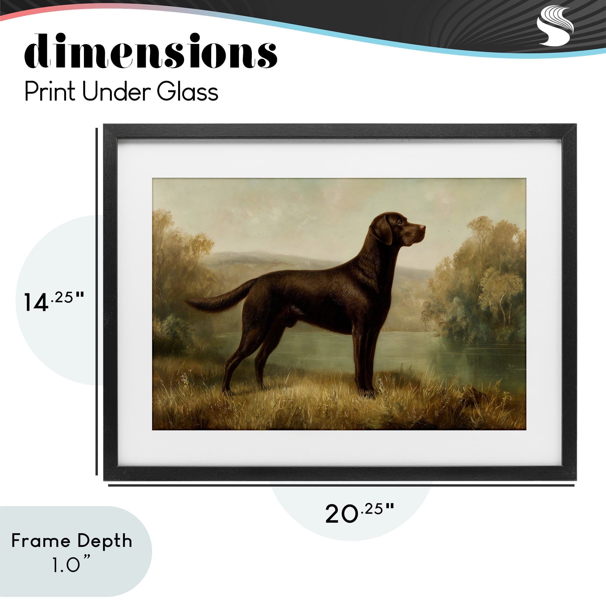 Stupell Industries Chocolate Brown Labrador Black Framed Print Under Glass, design by Petal Prints Design