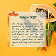 thumbnail image 2 of Live Papaya Tree, 5-10 inch Height, Well Rooted Papaya Plant for Growing, USDA Zones 9-11, Tropical Tree, 2 of 6
