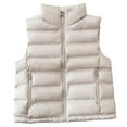 thumbnail image 3 of Fesfesfes Puffer Vest for Women Mock Neck Vest Solid Color Outerwear Vest Winter Warm Vest Sleeveless Jacket Fall, 3 of 3