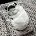 thumbnail image 3 of Toy Funny Sleeping Toys Cat In The Mattress Toy Mini Cat In Shoe With Meows Sounds Sleeping Cute Kitty Toys For Kids Boys Girls, 3 of 3