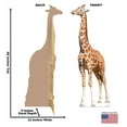 thumbnail image 2 of Giraffe Cardboard Cutout Stand Up, 7ft, 2 of 4
