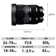 Sigma 24-70mm f/2.8 DG DN Art Lens for Leica L