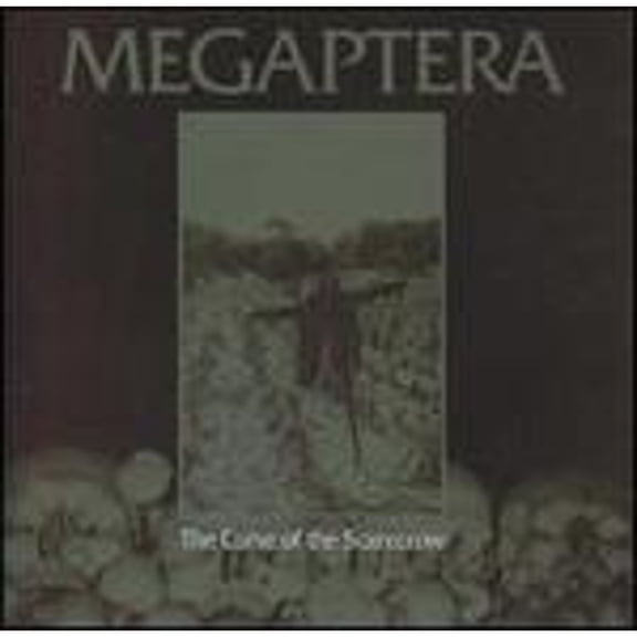 The Curse Of The Scarecrow