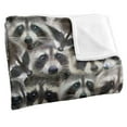 thumbnail image 3 of Racoons Officially Licensed Silky Touch Super Soft Throw Blanket 50' x 60', 3 of 6
