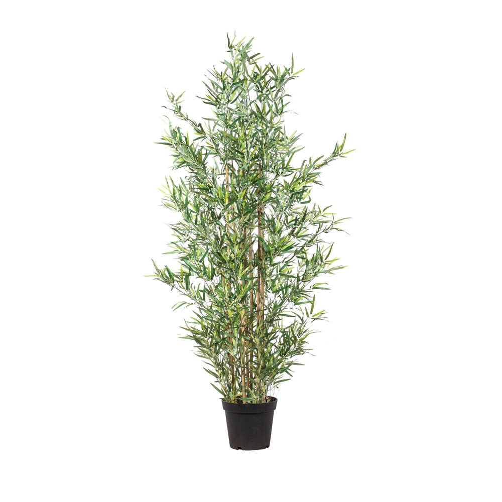 Planta Artificial Bamboo Mini 182 Cm