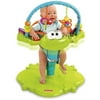 Fisher-Price - Bounce & Spin Froggy