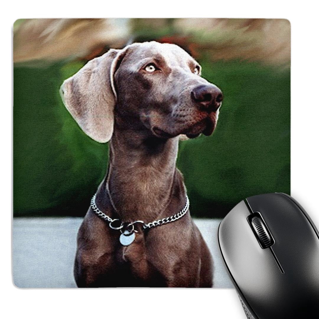 Weimaraner Welpen Grußkarten – 12er-Set, Blanko, 15,2 X 15,2 Cm, Mit Umschlägen