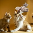 thumbnail image 4 of 2026 New Flappy Chase Cat Toy Electric Flying Interactive Simulation Chirping Bird with Flapping Wings Remote Control for Cats, 4 of 8