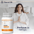 thumbnail image 5 of Cordyceps | Energía y Resistencia Natural | Apoyo Inmunológico y Deportivo | 60 Cápsulas, 5 of 5