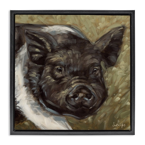 Stupell Industries Farmhouse Country Pig Black Floating Frame Canvas Art, 18 x 18, by Sara G. Designs