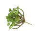 thumbnail image 5 of RENACLIPY Planta Artificial Verde Para Hogar Sin Mantenimiento, 5 of 8