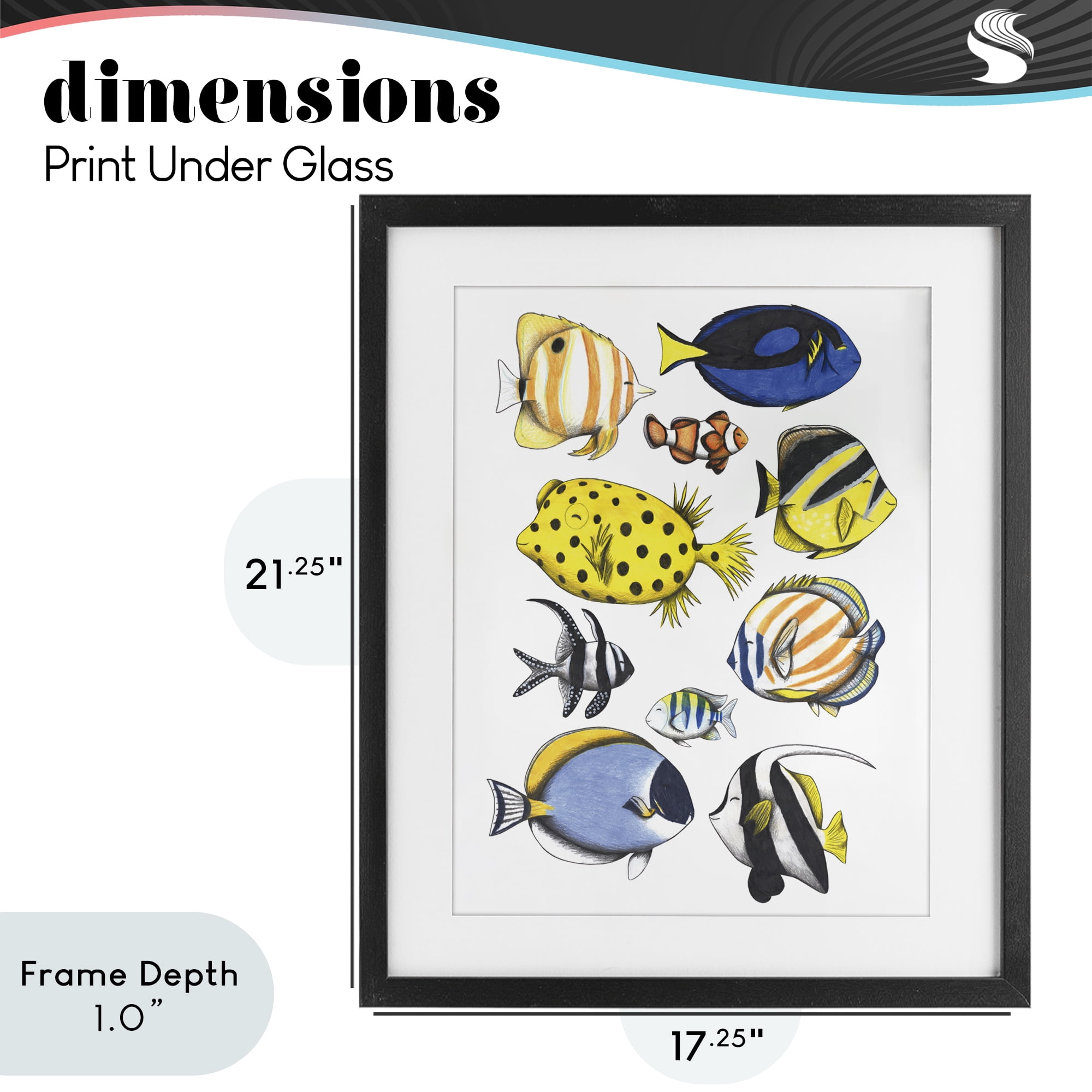 Stupell Industries Aquatic Fishes Collection Black Framed Print Under Glass, design by Cecilia Battaini