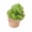 Green, variant on 2026 Edition Premium Realistic Soft Serve Ice Cream Squeeze, Tasty Dessert Fidget Squeeze, Hand-Pinching Sensory Toys, Soft Squeeze Decompression Dough for Adults