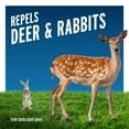 thumbnail image 4 of Liquid Fence Deer And Rabbit Repellent Concentrate, 32 Ounces, 4 of 11