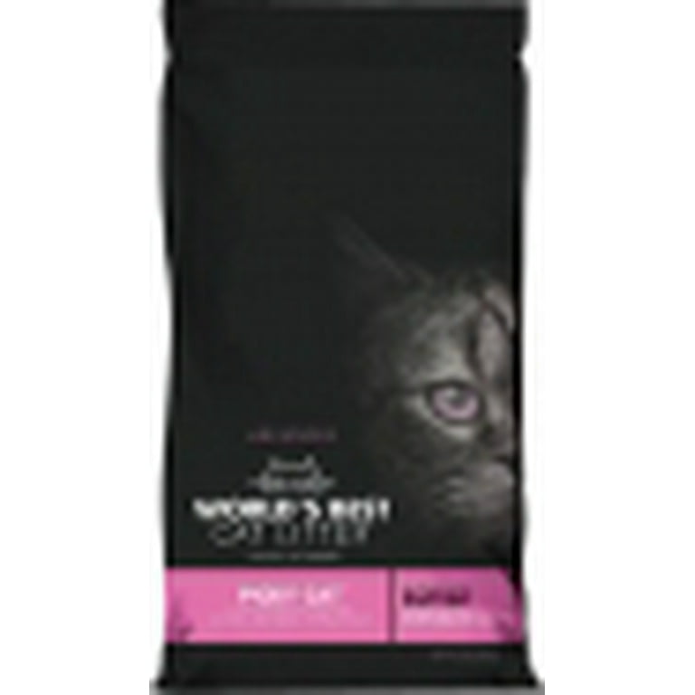 Best litter 2025 for picky cats