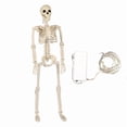 BUDAO00 Light Up Halloween Skeleton Decoration, 35Inch Full Body ...