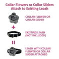 thumbnail image 5 of Pooch Outfitters Fancy Dog Collars & Collar Accessories Collection | Extensive Selection of Decorative Collars, Collar Flowers, Collar Sliders That Suit Any Style, Mood, Occasion, 5 of 6
