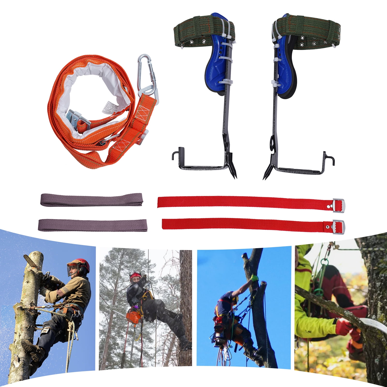 Fixartoo Upgraded Tree Climbing Spikes Heavy Duty Pole Climbing Gear with Waist Safety Belt 220 lbs Capacity for Hunting Fruit Picking Arborist Blue