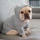 thumbnail image 1 of Ropa para perros de pelea de mascotas, ropa para perros pequeños y medianos, orejas de conejo, ropa de fiesta para 2 - 4 kg - Gris, 1 of 5