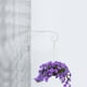 thumbnail image 1 of SOPOTUTU 1Ud Gancho Decorativo De Hierro Para Macetas Montado En Pared Y, 1 of 8