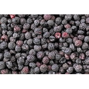 50 *Seeds BLACK RASPBERRY Rubus Leucodermis Fruit Bush Vine Seeds