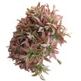 thumbnail image 3 of PENGXIANG Artificial Plant Bouquet Simulation Decoration Home Office Plastic Fake Leaves  Autumn Color, 3 of 8