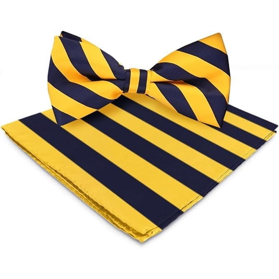 Vittorio Farina Striped Bow Tie & Pocket Square