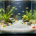 thumbnail image 4 of Arena Luminiscente para Acuarios: Grava Decorativa Luminosa, Piedras Noctilucentes para Peceras de Peces Betta y Gambas. Piedras Que Brillan En La Oscuridad para Decoración Subacuática., 4 of 6