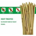 thumbnail image 4 of Natural Bamboo Stakes 4 Feet, Eco-Friendly Garden Stakes, Plant Stakes Supports Climbing for Tomatoes, Trees, Beans, 25 Pack, 4 of 7