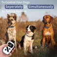 thumbnail image 2 of Collar Dog Shock PetJoy con control remoto para 3 perros y 5 niveles de sensibilidad, 2 of 9