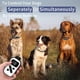 thumbnail image 2 of Collar Dog Shock PetJoy con control remoto para 3 perros y 5 niveles de sensibilidad, 2 of 9
