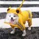 thumbnail image 1 of Chubasquero impermeable para perros con rayas reflectantes de seguridad, capa de perro salchicha ajustada con capucha (M), 1 of 5