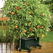 EarthBox Container Gardening System - Gray