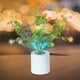 thumbnail image 5 of Regalo para El Día de La Madre, Cumpleaños o Navidad: Lámpara Pequeña de Flores Silvestres, Lámpara de Escritorio Led de Simulación, Luz de Noche con Jarrón, Lámpara de Mesa Decorativa para El Hogar., 5 of 6