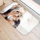 thumbnail image 4 of XWQ Estera de piso a prueba de humedad Todos Match Franel Super Absorbent Hogar Art Supplies XWQ 715087829, 4 of 6