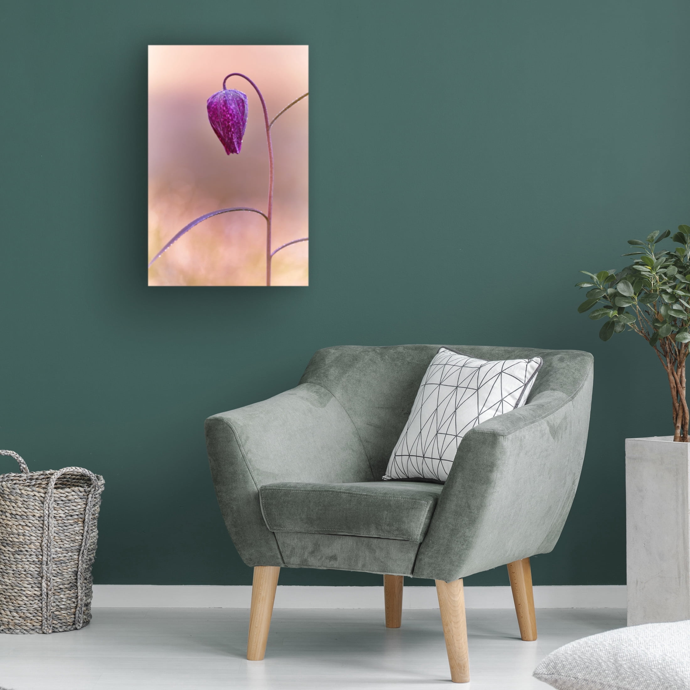 Canvas Wall Art - Stuart Williams 'Fritillary' Wall Art for Living Room, Bedroom, or Office Décor by Trademark Fine Art - 16 x 24 Inches