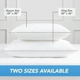 thumbnail image 2 of Host & Home Hypoallergenic Pillows (2 Pack) - White with Silver Piping, Cotton with Poly Fill - Queen 20x30 in., 2 of 9