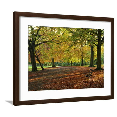Trees in Autumn Colours and Park Bench Beside a Path at Clifton, Bristol, England, United Kingdom Framed Print Wall Art By Julia (Best Parks In Bristol)