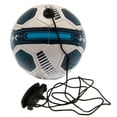 thumbnail image 2 of Tottenham Hotspur FC Skills Training Ball, 2 of 3