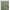 Camouflage Olive Green, variant on oneOone Organic Cotton Poplin Twill Fabric Geometric Ikat Print Fabric By Yard 42 Inch Wide