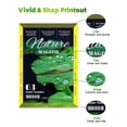 thumbnail image 4 of Cartuchos de tinta NEXTPAGE CLI42 para impresora Canon Pixma Pro100, 4 of 7