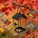 thumbnail image 4 of Comedero para pájaros de hierro forjado | Comedero colgante para pájaros | Decoración de jardín exterior con bandeja de malla inoxidable | Atrae aves silvestres para patios y jardines, 4 of 6