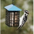 thumbnail image 3 of More Birds - Select Double Suet Feeder with Weather Guard, 3 of 3