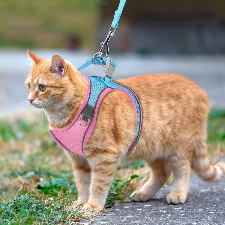 Bingpet Harness BINGPET Cat Harness With Leash And Collar For