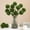 V, variant on Upgraded Realistic Green Dianthus and Moss Balls Artificial Plants, Excellent Fake Floral Landscaping Materials for Home or Hotel Decoration V