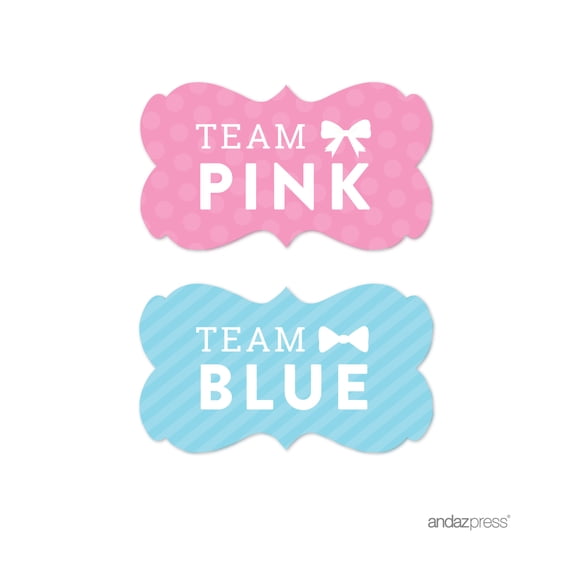 Team Pink/Blue Gender Reveal Baby Shower Fancy Frame Favor Labels, 36-Pack